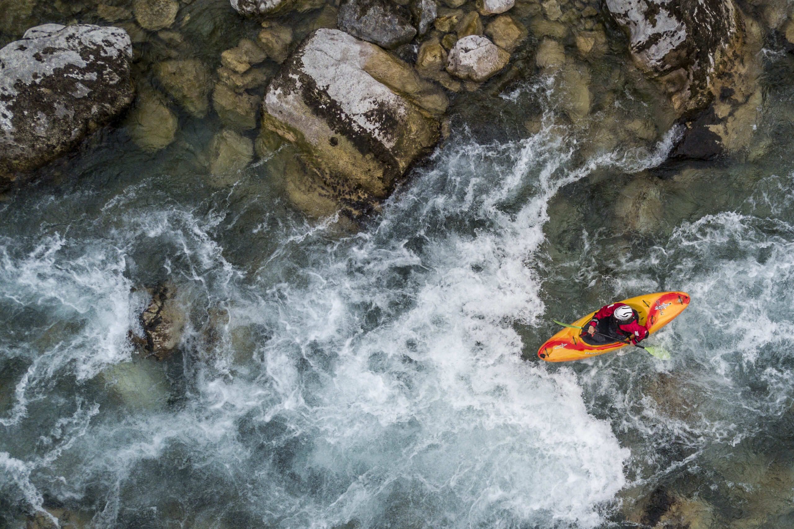 Photo_Predrag_Vuckovic_0168