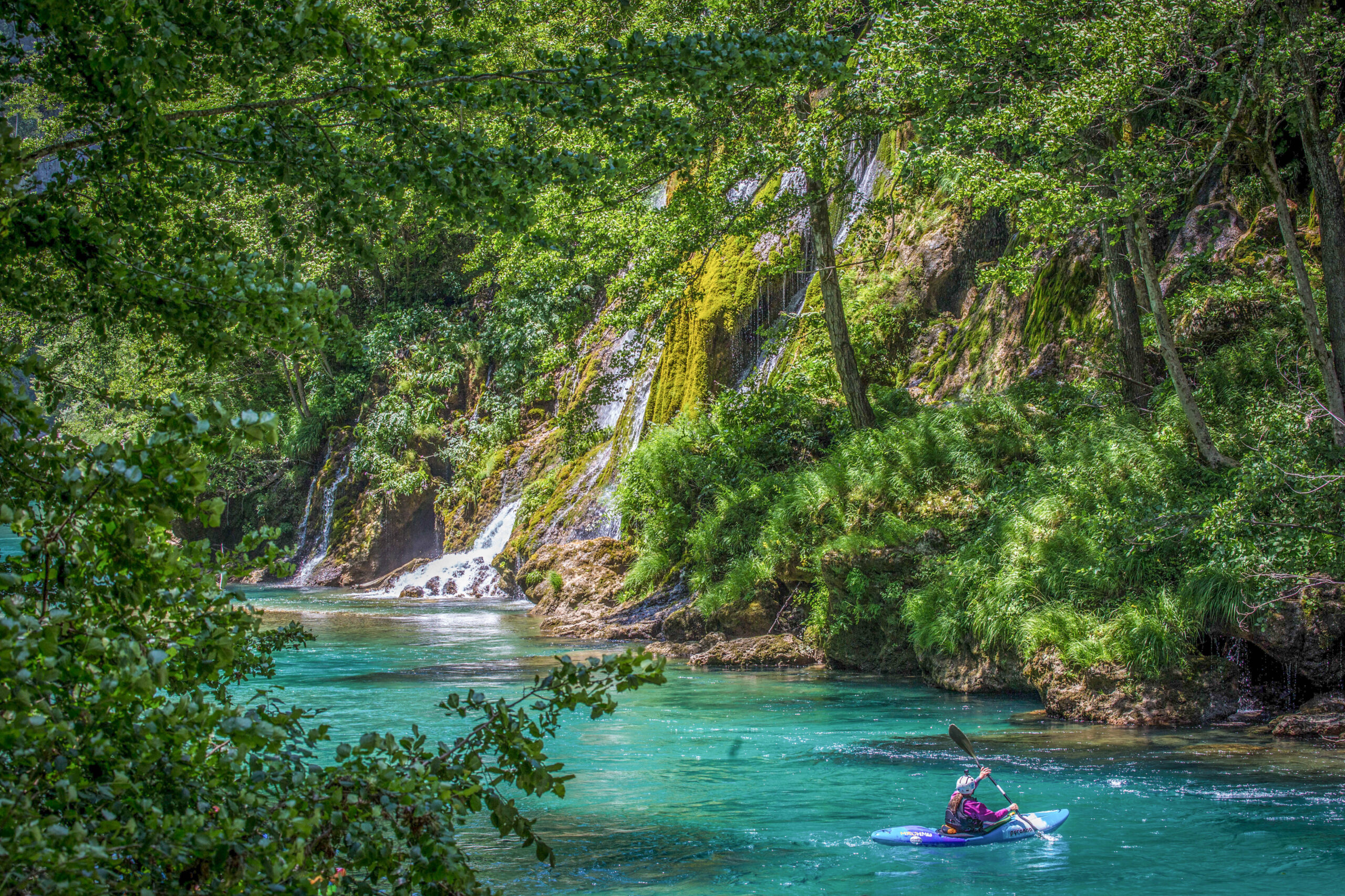 SIGE photo Veljko Vujanovic